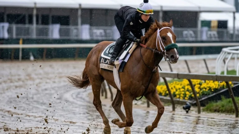 Preakness 2026