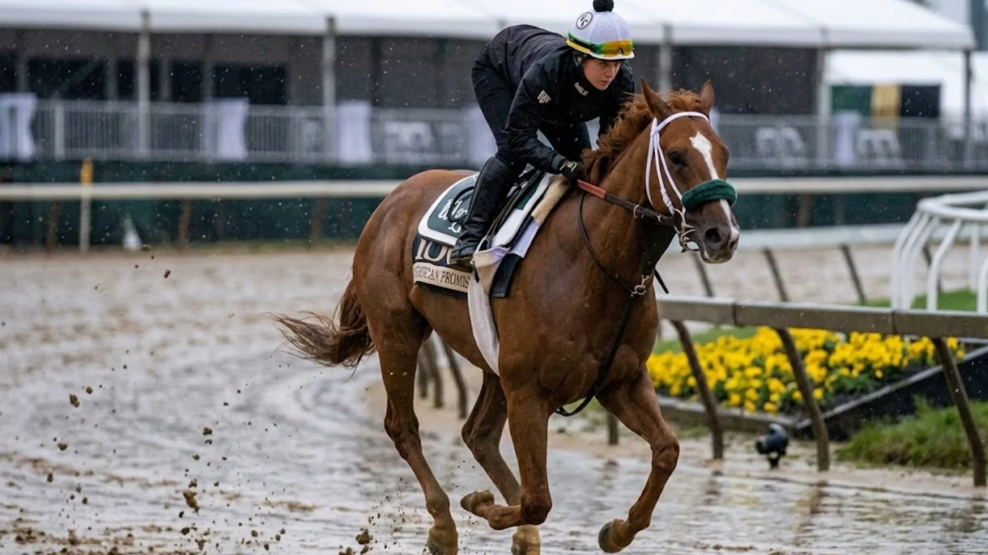 Preakness 2026